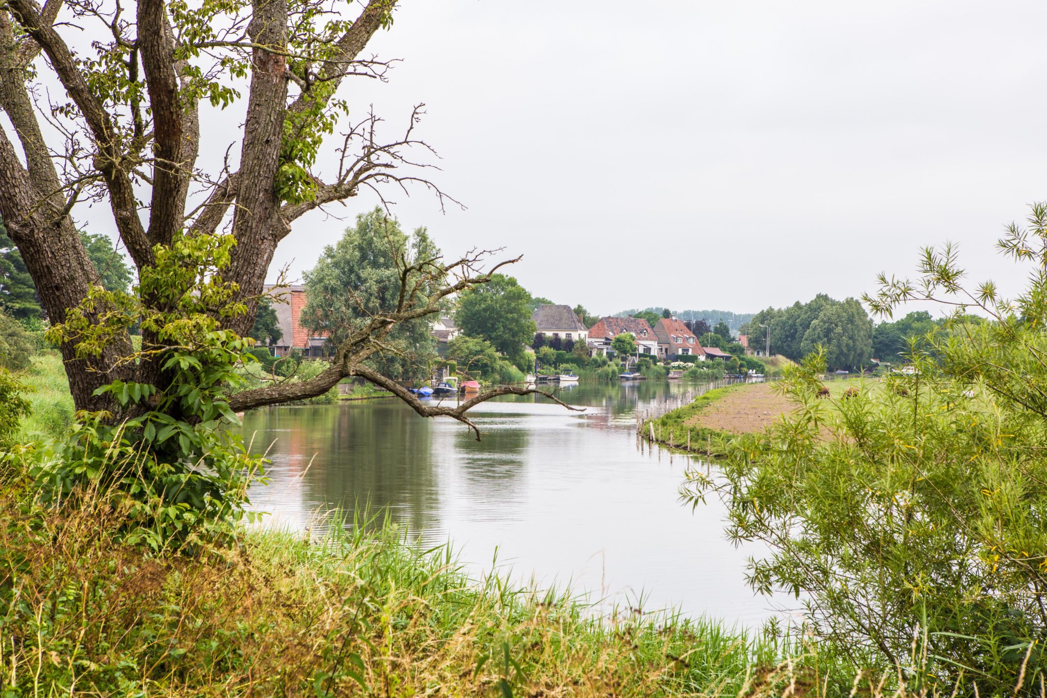 west betuwe afbeelding